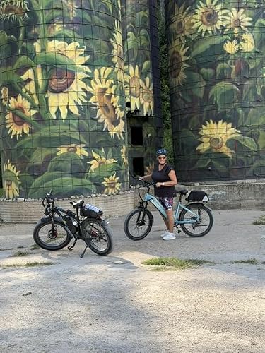 Love this Ebike