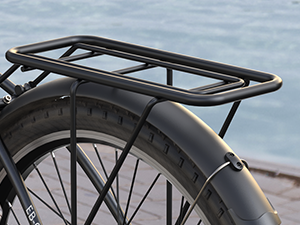 adult ebike