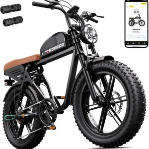 HOVSCO Electric Bike for Adults 48V15/25/40Ah Removable Battery Retro Ebike