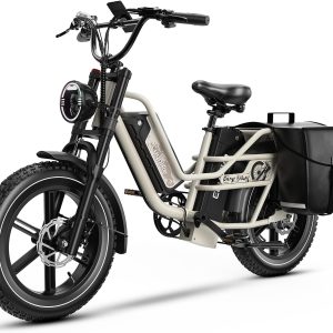 Dual Battery 48V 60AH Electric Bike for Adults, 160 Miles Long Range Cargo Ebike with Removable 2880WH Battery, 1450W Peak Motor Electric Bicycle, 20" x 4" Fat Tire Hydraulic Brakes E Bike
