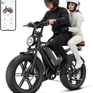 Electric Bike for Adults,48V15Ah Removable Battery Retro Ebike,Suspension