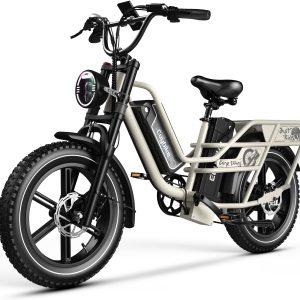 EUYBIKE Dual Battery Electric Bike for Adults, 160 Miles Long Range Cargo Ebike with 48V 60AH Removable Battery, 1450W Peak Motor Electric Bicycle, 20" x 4" Fat Tire Mountain E Bike Grey