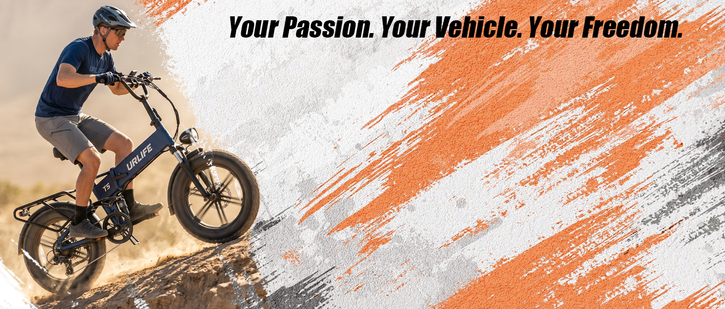 ELECTRIC BIKE FOR ADULT