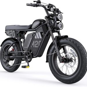 ENGWE M20 3.0 3300W Off-Road Electric Bike—Cruise Control, Speed 40MPH, 60V 40Ah Battery 2h Fast Charging, 180Mile Range, 120Nm of Torque, Hydraulic Brakes and Full Suspension (Black, Dual Battery)