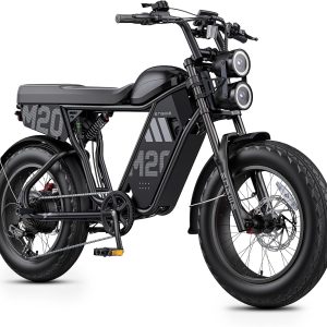 ENGWE M20 3.0 3300W Off-Road Electric Bike—Cruise Control, Speed 40MPH, 60V 20Ah Battery 2h Fast Charging, 90Mile Range, 120Nm of Torque, Hydraulic Brakes and Full Suspension (Black, Single Battery)