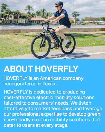 adult electric bike